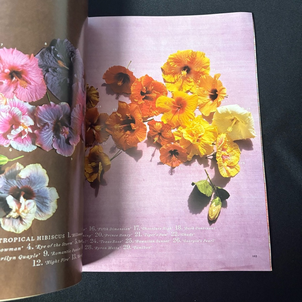 Martha Stewart Living March 2004 – “Into the Garden” Special Issue - Picture 9 of 10